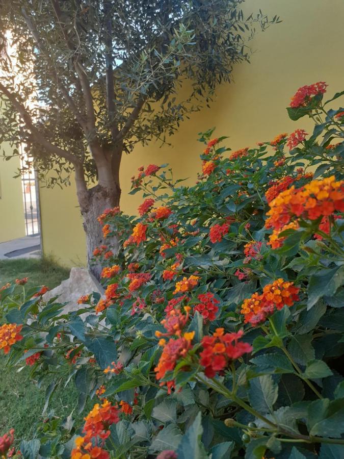 Appartamento A Pula In Zona Residenziale Zewnętrze zdjęcie