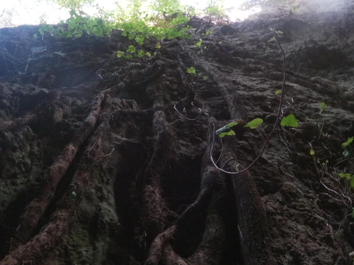 Appartamento A Pula In Zona Residenziale Zewnętrze zdjęcie